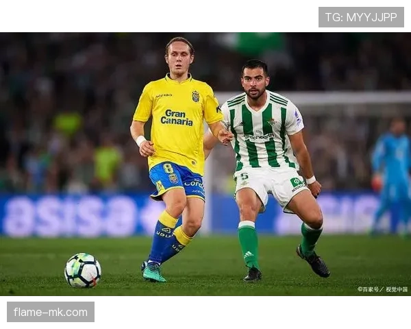 阿拉维斯延续强势节奏,关键胜利彰显近期出色状态 阿拉维斯延续强势节奏,关键胜利彰显近期出色状态